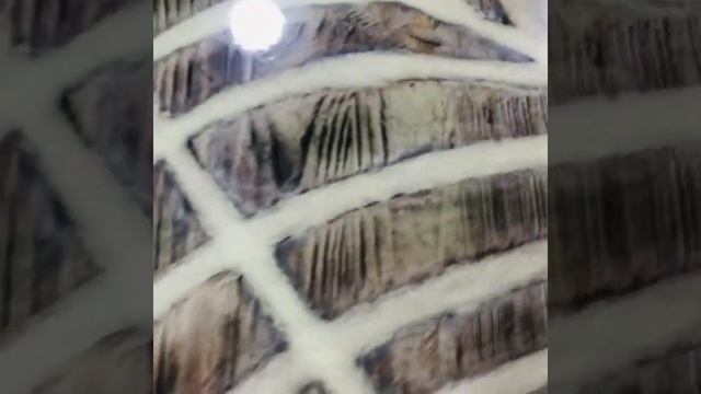 Стол из эпоксидной смолы с люминофором смотреть онлайн