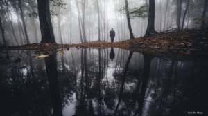 Мистическая Спокойная Музыка ♫ Таинственный Лес Дарк Музыка Онлайн