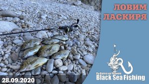 Ловим ласкиря! Рыбалка в Севастополе!
