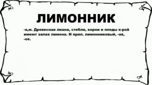 ЛИМОННИК - что это такое? значение и описание