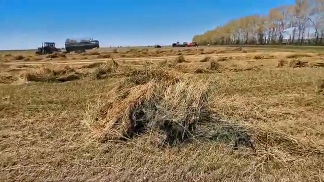 У кого нет Krone, у того так ...Продолжение смотреть онлайн