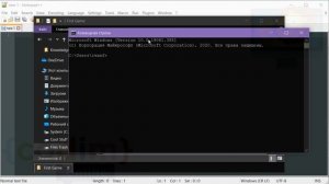 #Pygame Урок 1.3 Создание папки игры, консоль