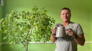 Вас обманывали - Истинное лицо закоренелого цветочника | В цветоводстве все сложно!
