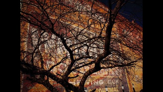 5 Ricoh GR2 Camera Settings You Should Know смотреть онлайн