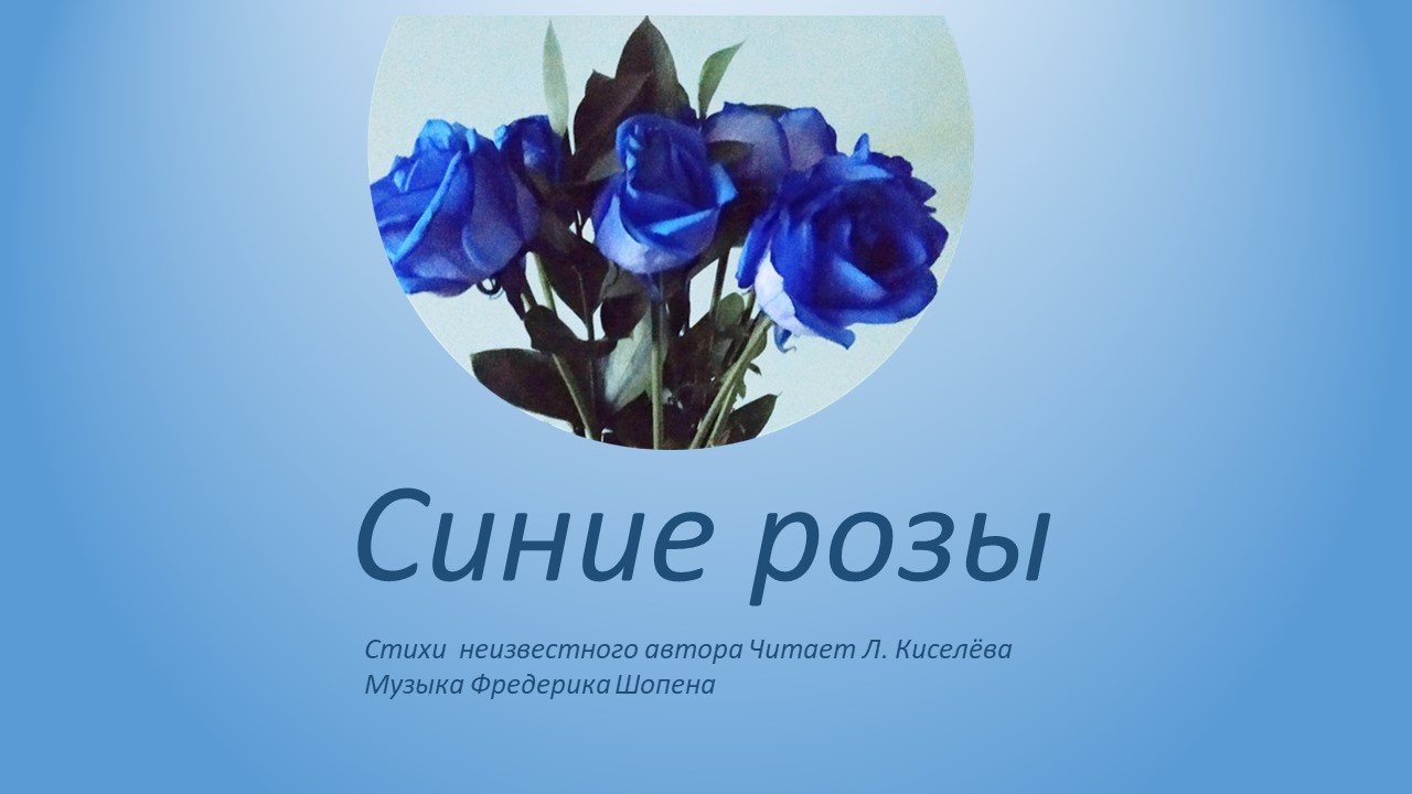 Слушать песню синие розы ты смеялась. Стихи про синие розы. Стих про розу. Голубые розы на языке цветов.