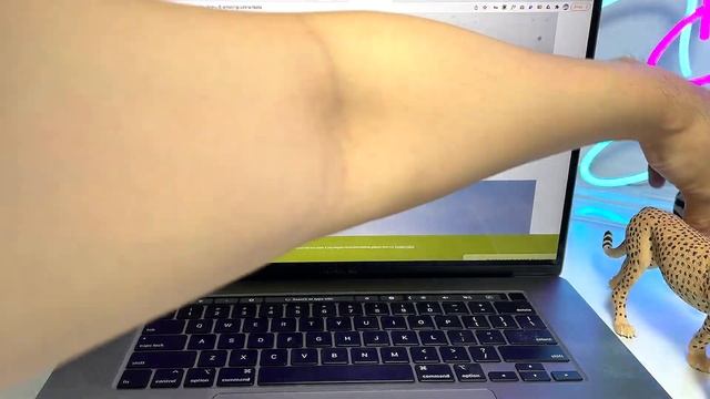 11 AFRICAN ANIMALS FACTS - Lion, Okapi, Hippo, Rhino, Giraffe, Elephant, Cheetah, Zebra, Ostrich смотреть онлайн