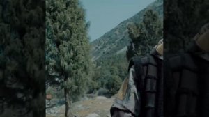 зомбеты ❤️