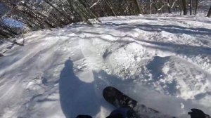 Фрирайд Альпика 2019