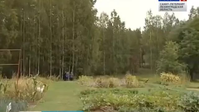 В Лемболово агрономы и бизнесмены восстанавливают питомник лекарственных растений