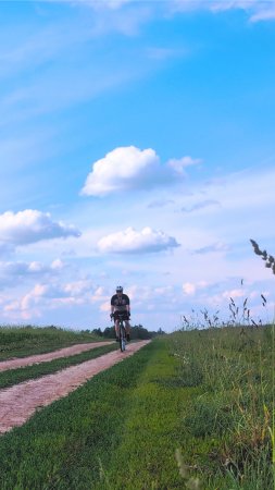 Жду выходных чтобы... #shorts #shulz #wanderer #gravelbike #gravel  #travel #trip #велосипед