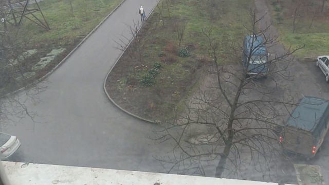 25 декабря. Суккулент. Зелёная трава и снег. смотреть онлайн