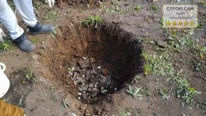 Посадка винограда весной. Пошаговый процесс