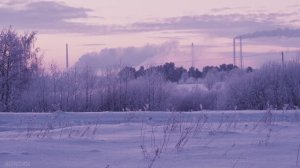 Подмосковная зимняя сказка. Nikon Z50