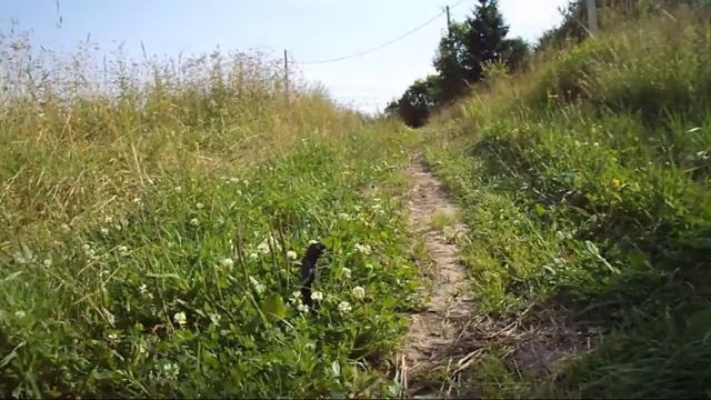 10 min of Kostik # 50 смотреть онлайн