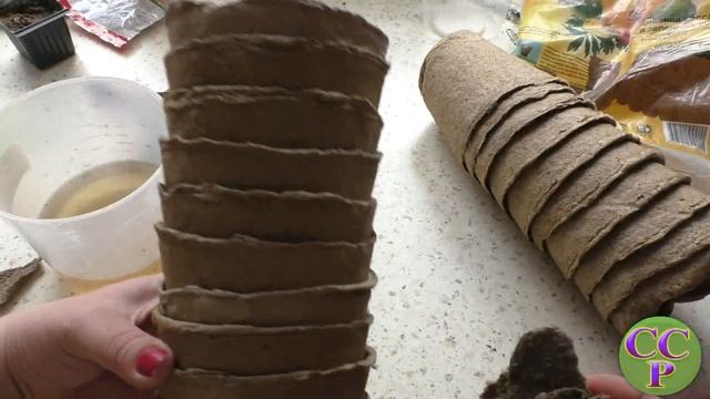 ВНИМАНИЕ! Торфяной горшок для рассады. Мои наблюдения