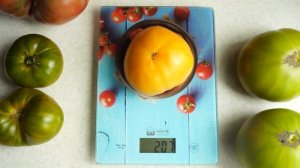 Томат Дикси золотой гигант. Жёлтые помидоры с богатым вкусом!