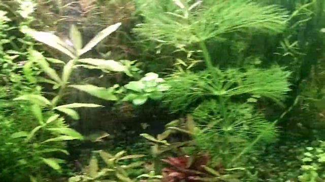 video 20210429 114544 смотреть онлайн