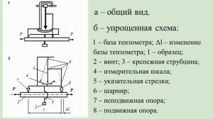 Лабораторная работа № 1. Определение модуля упругости и коэффициента Пуассона.