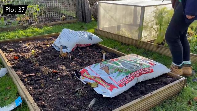 ALLOTMENT VLOG 35 - Planting Pak Choi and Spinach and a trip to my Sister's Garden! смотреть онлайн