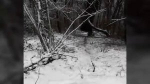 А ты знаеш какие у нас снега километрв