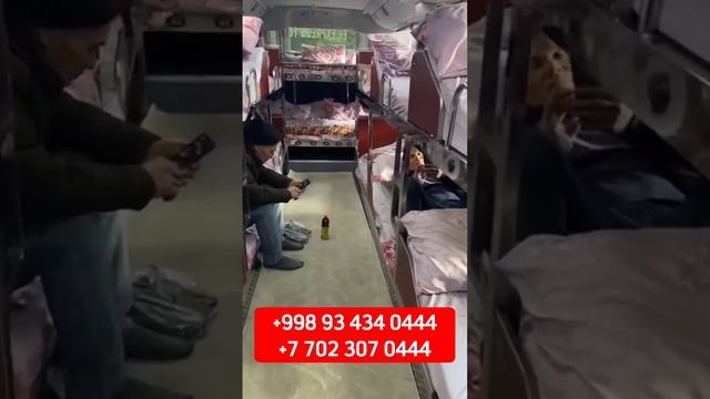 Алматы Ташкент автобус прямой рейс #алматы #ташкент #автобус #мигрантбус #ishonchli #avtobus