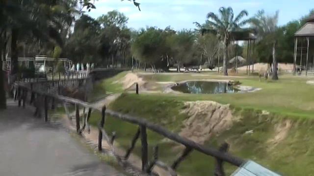 Таиланд,Паттая, Зоопарк "Khao Kheow" 22.12.12 №4 смотреть онлайн