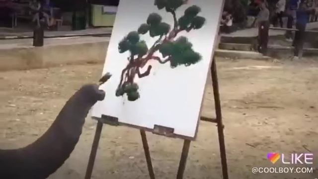 Слон рисует лучше меня смотреть онлайн