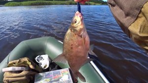 Джиг  Опять Удивляет!!! Рыбалка на Любимой Реке!!!