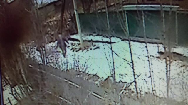 Павленко ссыт и ломает замок смотреть онлайн