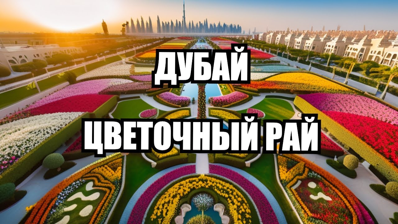 ДУБАЙ не только пустыня! Парк цветов Miracle garden