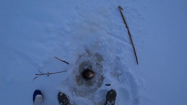 Лучшая зимняя ловчая снасть. Налим на червя. Хмао-югра.