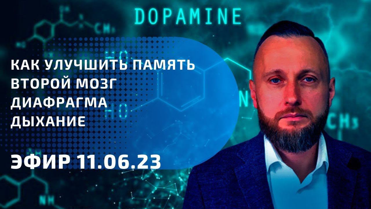 Как улучшить память. Второй мозг. Диафрагма. Дыхание