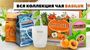 Вся коллекция чая Basilur! Лучший цейлонский чай Базилур - черный, зеленый, в пакетиках и листовой