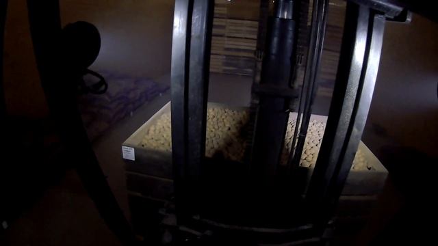 Завожу картофель в хранилище на зиму смотреть онлайн