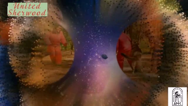 питомник восточно европейских овчарок UNITED SHERWOOD смотреть онлайн