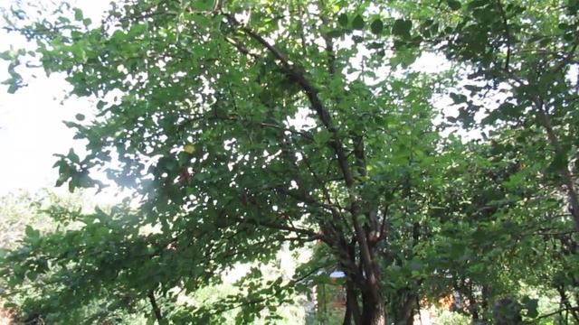 Что есть любовь? смотреть онлайн