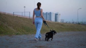 Ты Делаешь ему Больно! Как правильно ОБРЕЗАТЬ КОГТИ ПИТОМЦУ?