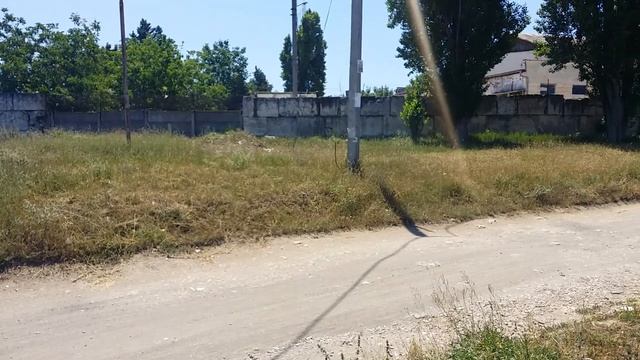 Посадка Дуба(Черешчатого)АР Крым г.Севастополь 2020г смотреть онлайн