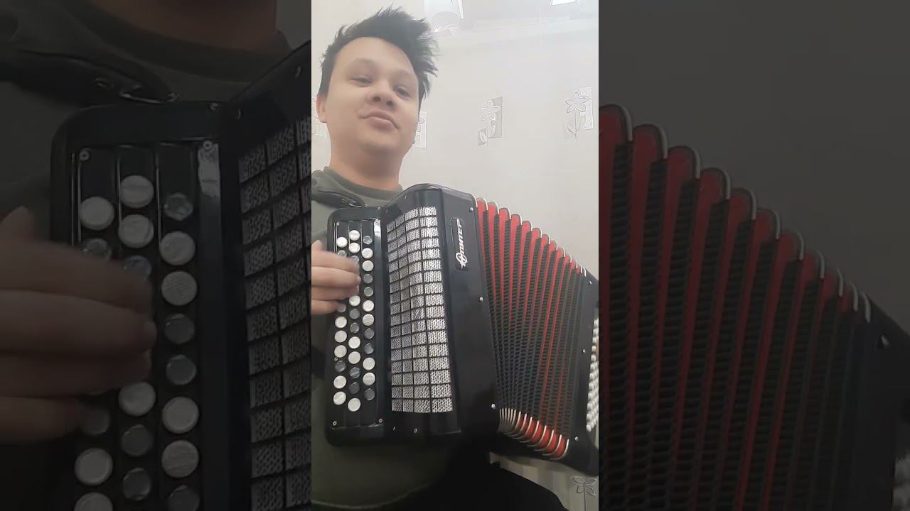 белая ночь на баяне смотреть онлайн