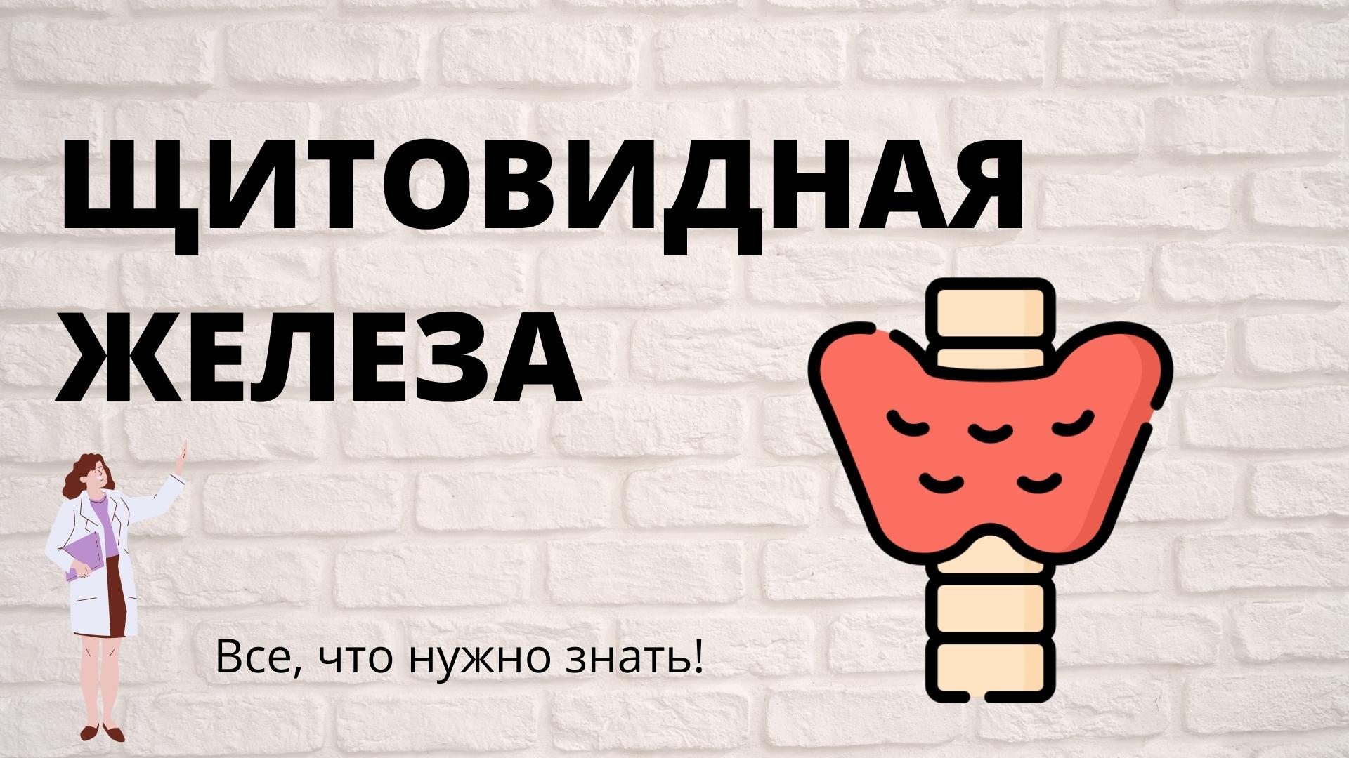 Щитовидная железа