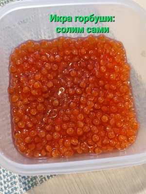 Как засолить икру горбуши