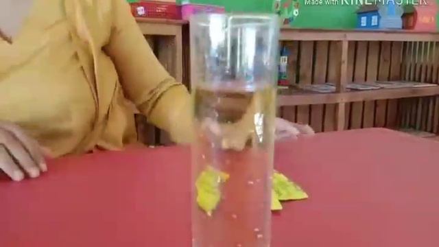 E-learning Anak TK Science Project TK B смотреть онлайн