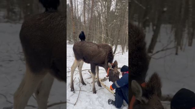 Брана охраняет нас от лишних глаз 😅