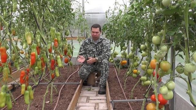 Огород для души