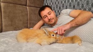 Кролик в доме это хорошо, а если в доме кролик и крольчонок это счастье