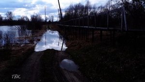 Из-за подъёма уровня воды в Оби подтоплены два огорода в Тискино, перелив дороги в Усть-Чае