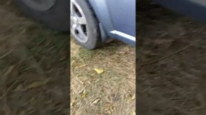 Чем отмыть смолу , битум от кузова автомобиля