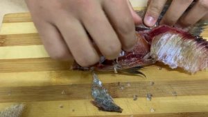 ВЯЛЕНАЯ СОПА (СИНЕЦ)