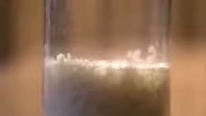 Эксперимент с рисом Эмото Масару