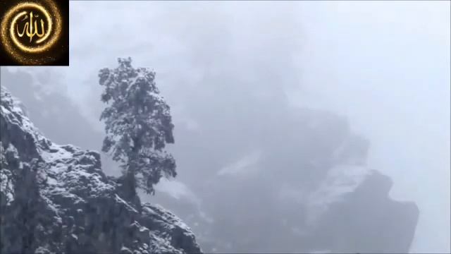 Сура ЯСИН , سورة ياسين , Sura Yasin ☪️ смотреть онлайн